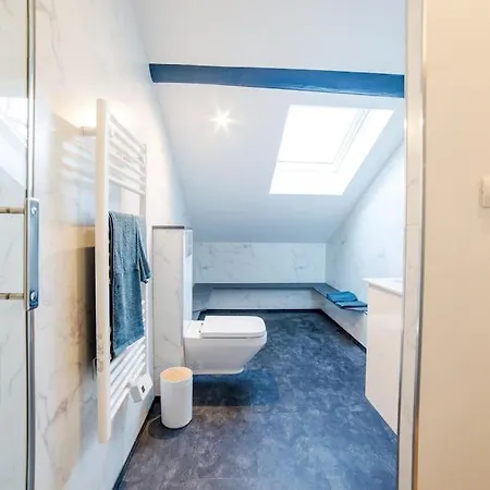 Apartament Le Maxi Dupont Thermal Insolites Clim Fibre *