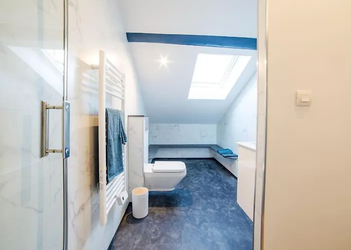 Apartament Le Maxi Dupont Thermal Insolites Clim Fibre *