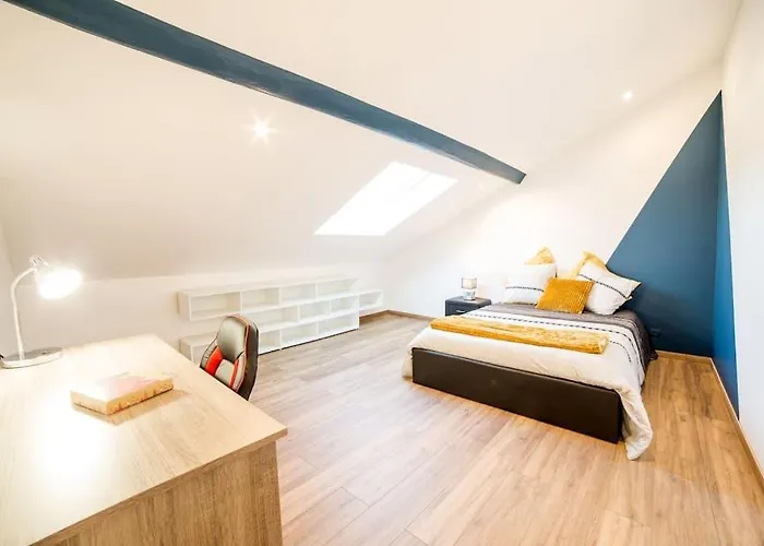 Apartament Le Maxi Dupont Thermal Insolites Clim Fibre